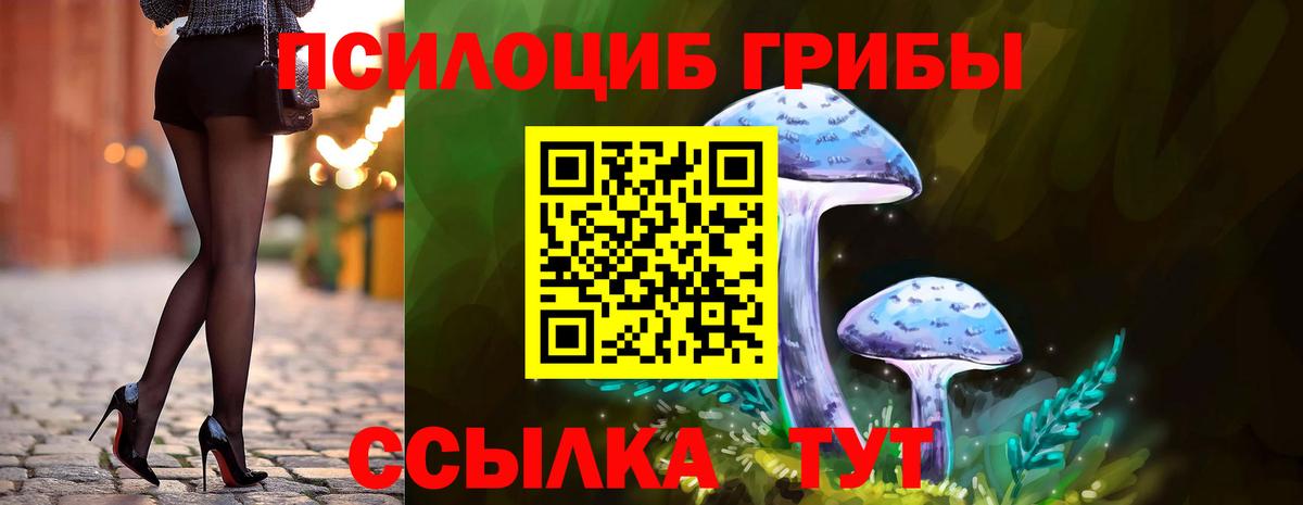 Магадан  Псилоцибиновые грибы Psilocybe  купить наркотик  Вход с VPN 